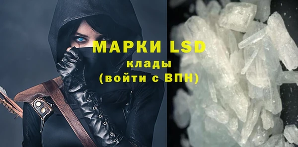 индика Алзамай