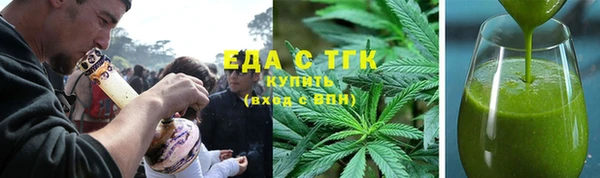 индика Алзамай