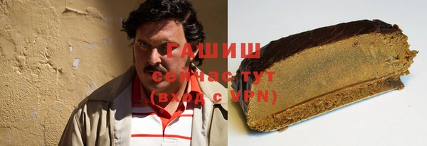 индика Алзамай