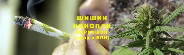 индика Алзамай