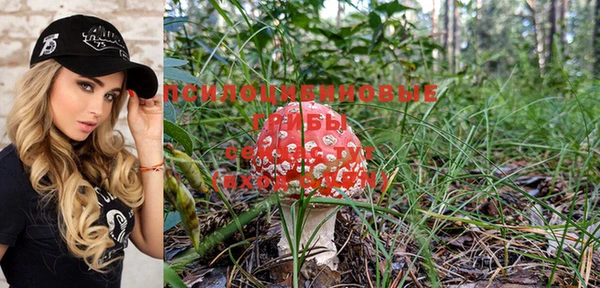 индика Алзамай