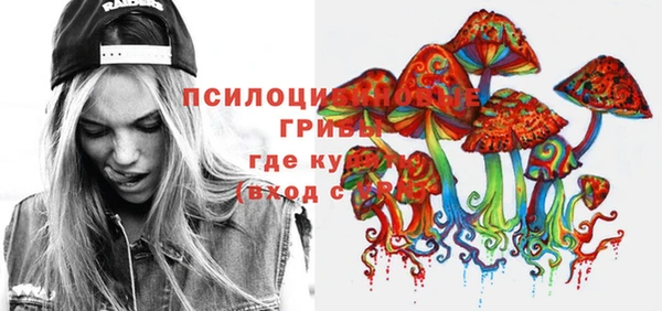 индика Алзамай