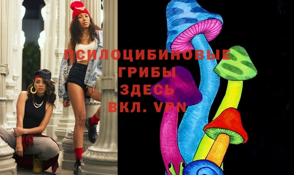 spice Гусь-Хрустальный