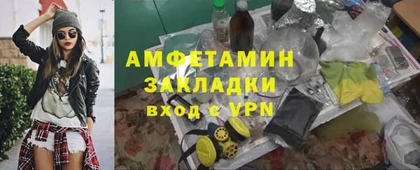 индика Алзамай