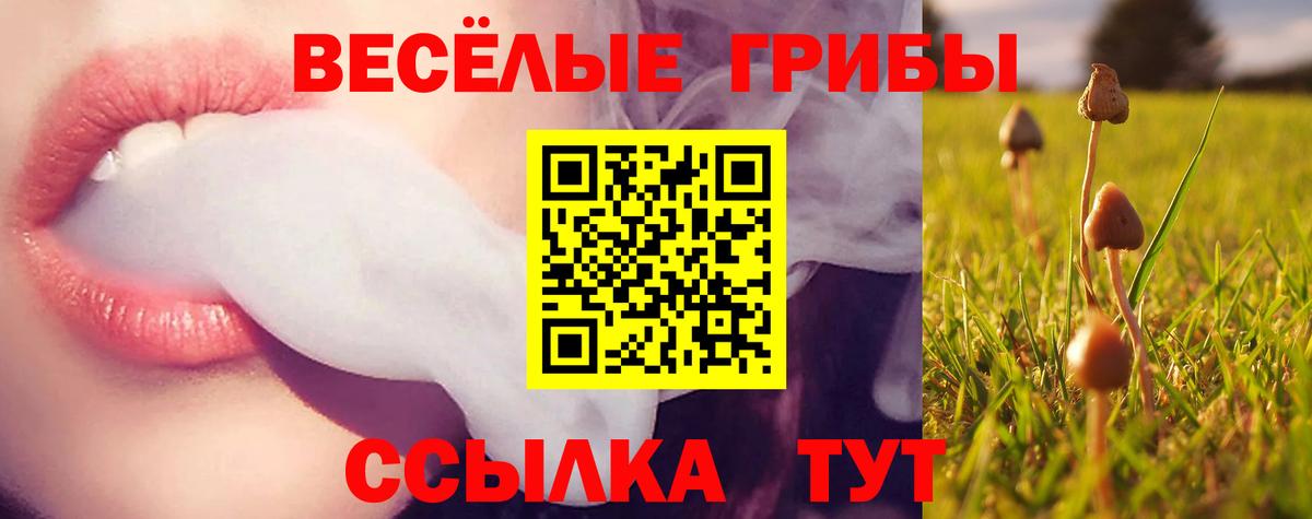 Галлюциногенные грибы Magic Shrooms  Вход с VPN  Галлюциногенные грибы мухоморы  Ленинск-Кузнецкий 